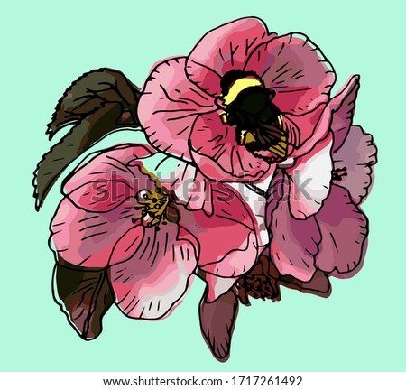 pink apple bloom and bumblebee vector illustration
