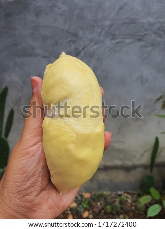 hand holding durian king of fruits on the cement background with clipping path and copy space