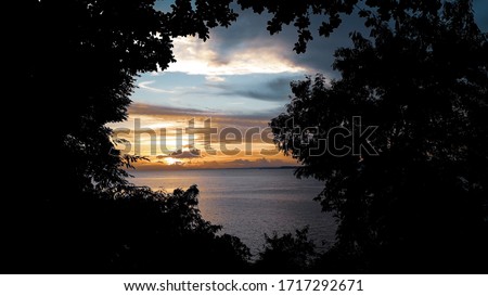 the sun before nightfall with the shadow of a black tree. Sunset sky background. beautiful natural scenery