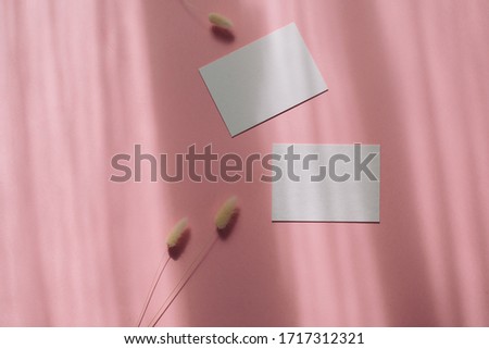 Blank white business cards, decorative twigs of Lagurus Grass on pastel pink shadow background. Top view, flat lay, mock up.