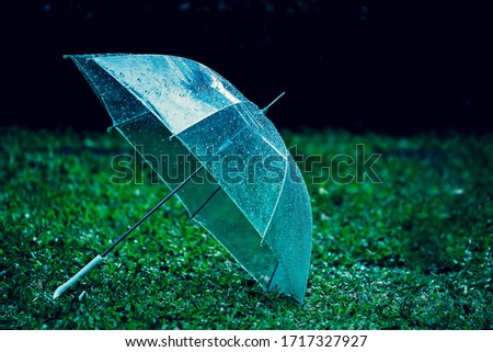 Rain drops on a clear umbrella On the green lawn.shallow focus effect.
