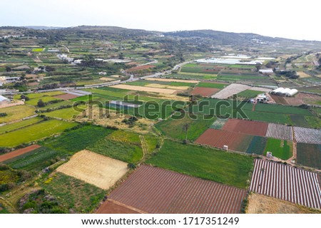 Aerial view of green colorful agriculture fields. Nature countryside landscape. Malta island