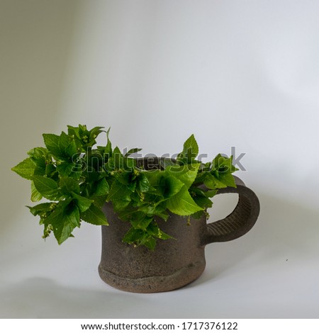 picture with a simple clay mug and the first green spring plants, monochrome background,