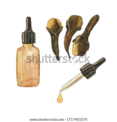 Essential oil of clove spice in glass brown bottle isolated on white background. Syzygium aromaticum. Watercolor hand drawing illustration. Clip art for medicine, healthy food, covers, cards.