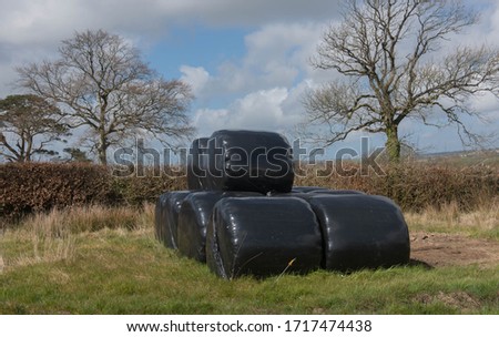 Stack of Hay Bales Wrapped in Black Plastic Bale Wrap on the Edge of a Field in Rural Devon, England, UK