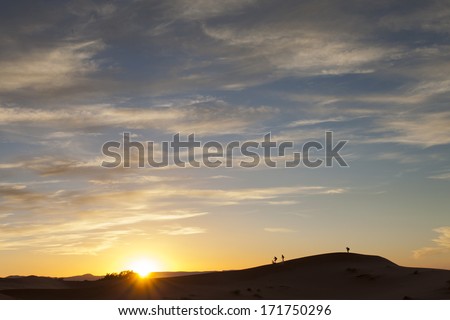 Silhouette of photographers in desert Sahara at sunset, Morocco