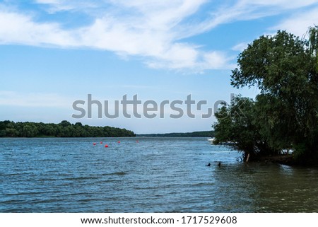 Beautiful landscape in Danube Delta, luxuriant vegetation. Romania.