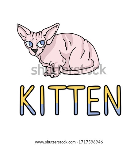 Cute cartoon sphynx kitten with text vector clipart. Pedigree exotic kitty breed for cat lovers. Purebred domestic cat for pet parlor illustration mascot. Isolated hairless feline housecat. EPS 10. 