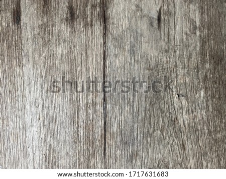 Wood grain that has just dried after the rain. background or texture.