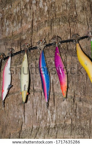 Squid jigs on a palm tree. Picture of a Classic Fishing Lures for Predators. Lure for squid colorful in group. 