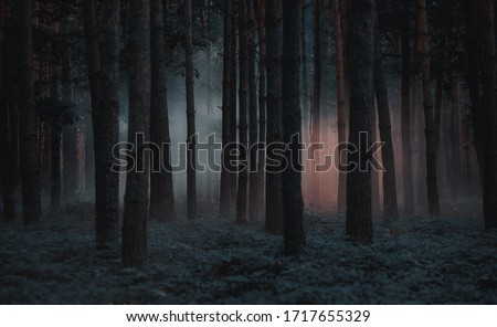 Dark foggy pine scary forest Royalty-Free Stock Photo #1717655329