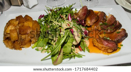 Traditional duck fillet, rare done, served with salad in a  french restaurant. Original authentic recipe, orange sauce dressing on top