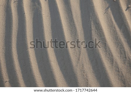 sandy texture with shadows and winds waves
