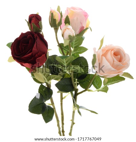  Bouquet of roses in different colors.
