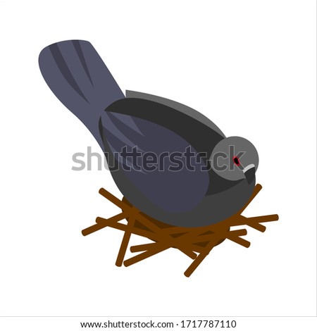 Isometric style icon.Dove in nest .Vector illustration Isolated on a white background.