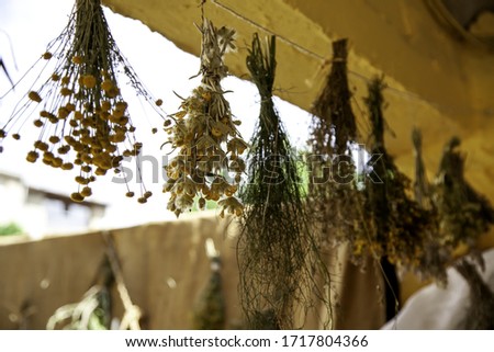 Dried medicinal herbs, detail of alternative medicine