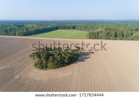 Feldgehölz in the middle of a large field, Germany