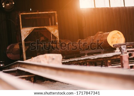 Fresh cut pine tree log processing on sawing machine at timber production mill. Wooden material processing and cutting at wood manufacturing factory. Sawing fresh tree trunk on power cutting machine