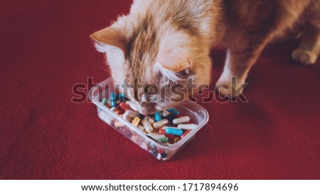 Giving Pills to Cats, Pilling Your pet. How-to give a cat a pill tutorial. Cat and many pills on a red background. Prevention and Treatment For Pet Disease. Royalty-Free Stock Photo #1717894696