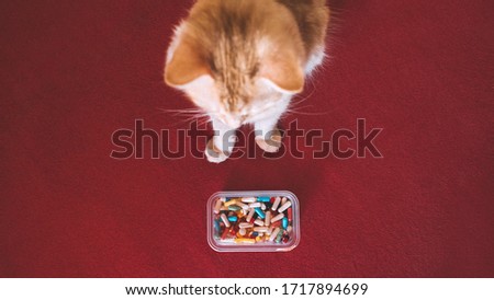 Giving Pills to Cats, Pilling Your pet. How-to give a cat a pill tutorial. Cat and many pills on a red background. Prevention and Treatment For Pet Disease. Royalty-Free Stock Photo #1717894699