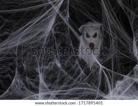 white ghost in a white spider web on a black background