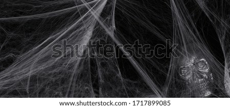skull in a white spider web on a black background