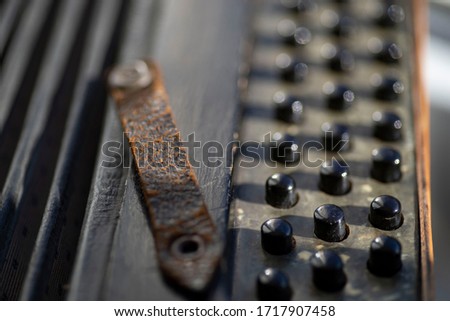 Fragment of a national musical instrument button accordion. Round keys three rows.