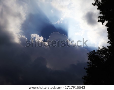 Beautiful sunlight coming through dramatic stormy clouds. View up to dark sky and sunburst from below.Silhouette of tree canopy as frame. Daylight weather change scenery for background or copy space.