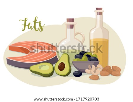 High fat food isolated on white. Olive oil, olives, avocado, fish and nuts. Vector Illustration Royalty-Free Stock Photo #1717920703