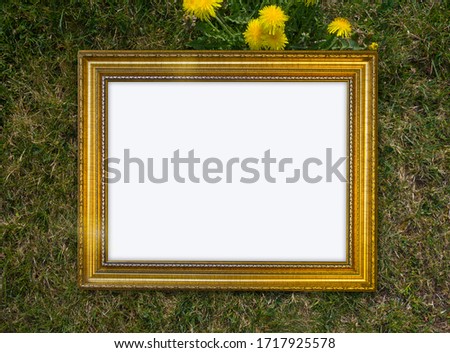 Vintage gold frame with ornament amid green grass and field flowers, free space for your design and home interior, green concept