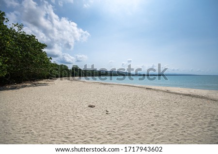 lonely caribbean Beach, empty  beachside, white sand on the coast, wild Rainforest next to the sea, Costa Rica, Cahuita National Park  Royalty-Free Stock Photo #1717943602