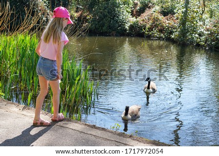 An unidentified young girl feeding ducks and geese at the duck pond in Wandsworth Common on a sunny spring day.  Image has copy space.