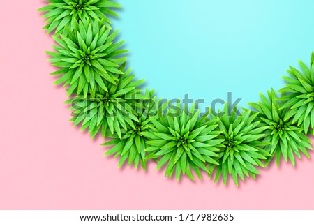 Natural background of lily leaves on a two-color basis. Image in the style of color pastel blocks. Leaves are arranged in a semicircle.