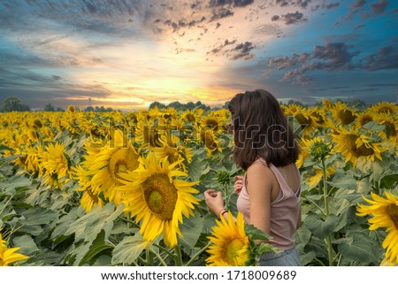 Young teen girl standing in field surrounded by sunflowers with beautiful sunset outside of Bologna Italy
