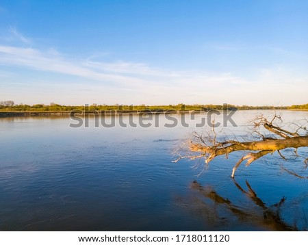 Falen tree over the surface of Vistula (Wisła) river at sunset, vicinity of Warsaw, Poland