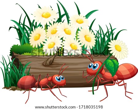 Two ants in nature illustration
