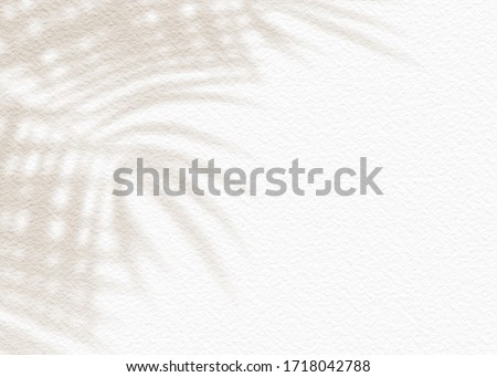 White gray grunge cement texture wall leaf plant shadow background.Summer tropical travel beach with minimal concept. Flat lay  palm nature .