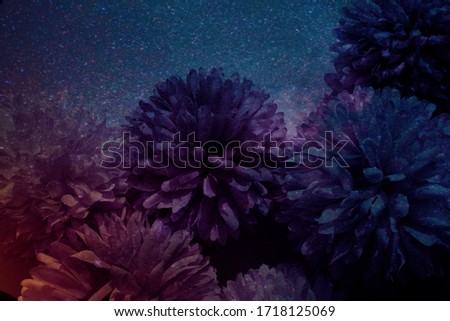 Beautiful abstract color blue pink and purple flowers on black background and blue graphic dark pink flower frame and pink leaves texture, purple background, colorful graphics banner 
