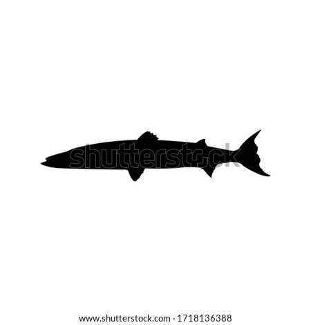 Barracuda Fish Silhouette, Animal vector Illustration.