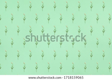Diagonal seamless pattern with pink eustoma flower buds lying on trendy mint background. Pastel colored floral backdrop. Modern simple minimalist design. Top view, flat lay, open composition