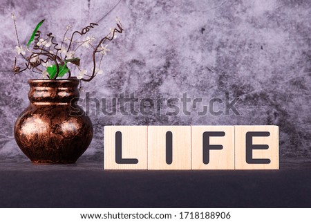 Word LIFE made with wood building blocks on a gray back ground