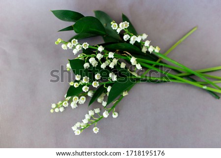 white tender lily-of-the-valley on the gray background