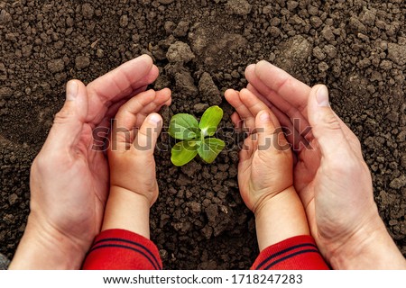 A young man and a child hold a small tree in their hands. Concept of world environment day. Four hands hold a light green tree. Father and son plant a plant Royalty-Free Stock Photo #1718247283