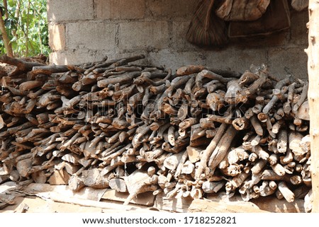 Pile of cut wood trunks stocked for burning in winter