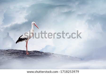 White stork standing on a mountain rock in the cloudy sky. Greeting card template for future or newborn baby. Royalty-Free Stock Photo #1718253979