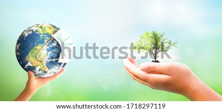 World Environment Day concept: hand holding tree and COVID-19 Earth wearing a mask on green background with sunshine, this image furnished by NASA