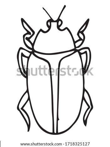 Beetle, insect outline vector, icon. Coloring page for kids. Exotic bug collection.hand drawn doodle style, Isolated on white background.