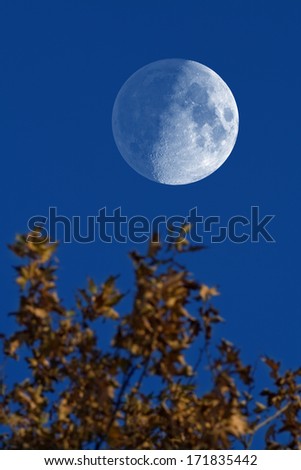 Moon on a fine blue sky.