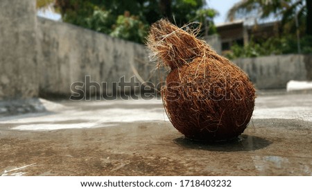 a pic of a peeled coconut