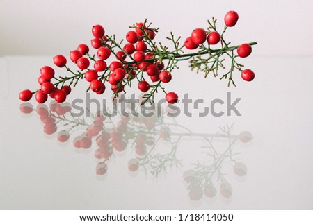 A plant with red berries and its reflection